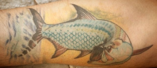 tarpon, tatoo, tatuaggi, pesci, pesce, nature